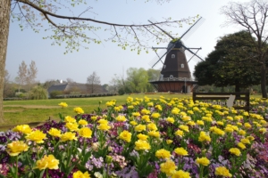 ふなばしアンデルセン公園